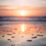 About Enlighten Harmony