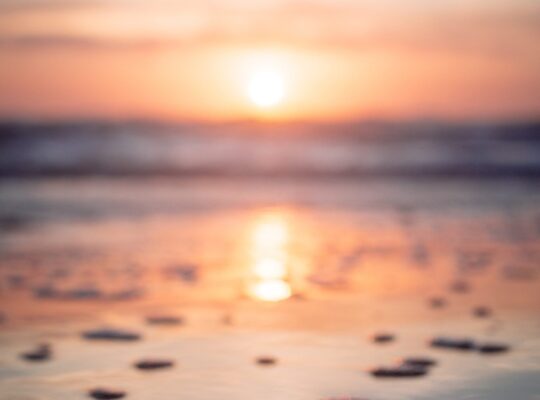 Harmony by the beach